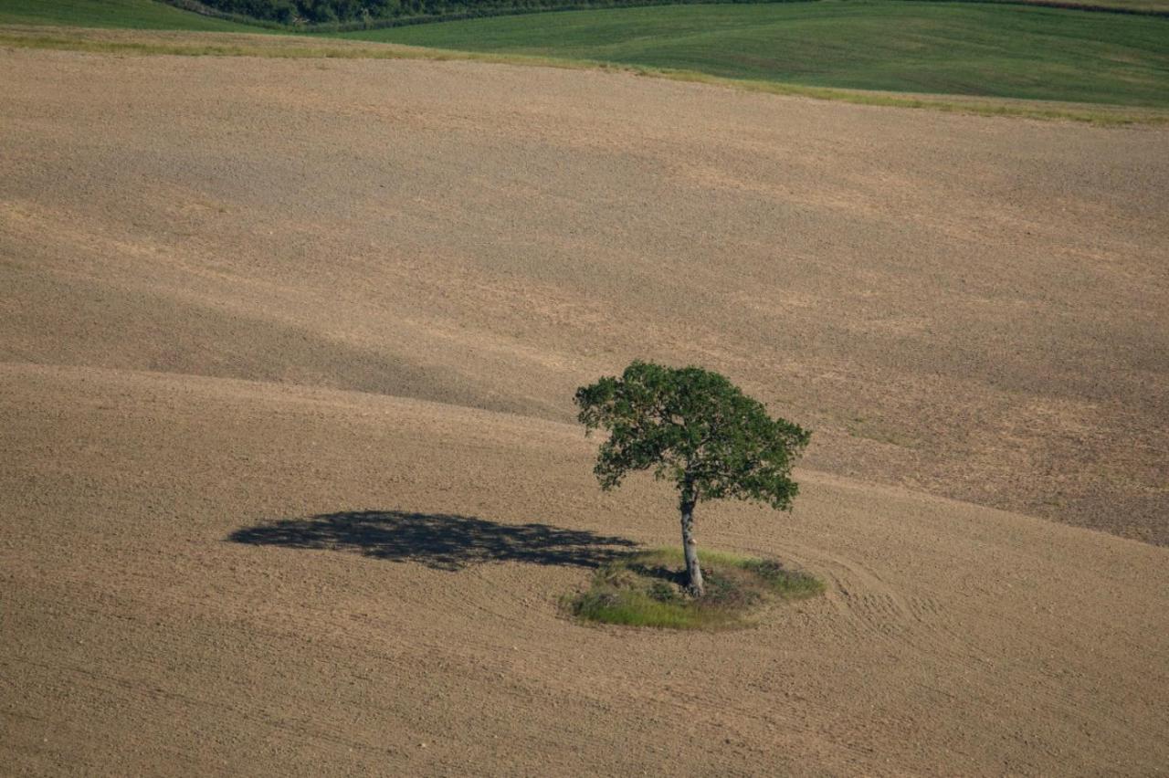 Alojamento de Turismo Rural La Poderina